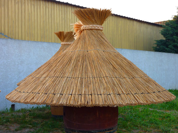 groupe de parasols