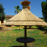 Parasol complet