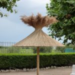 Parasol en roseaux final