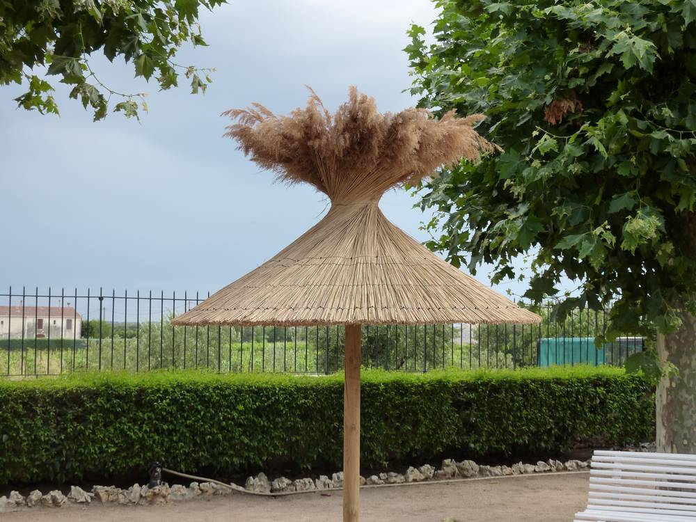 Parasol en roseaux final